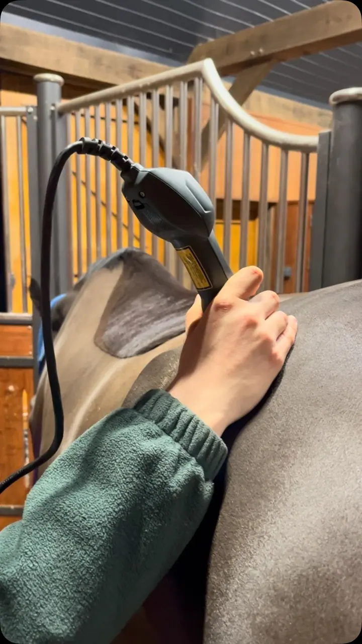 Instagram post: How Laser Therapy helps your horse: Accelerated Healing: Stimulates cellular energy…