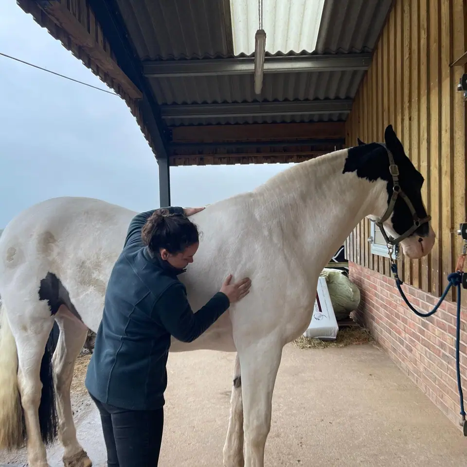 Kate treating Flynn, a veteran skewbald, under the stable overhang