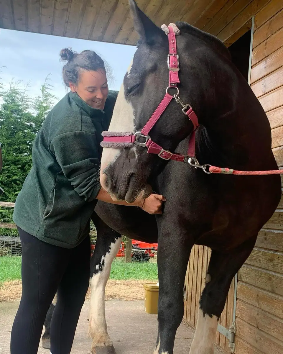 Kate laughing as she treats Daisy, a black and white cob