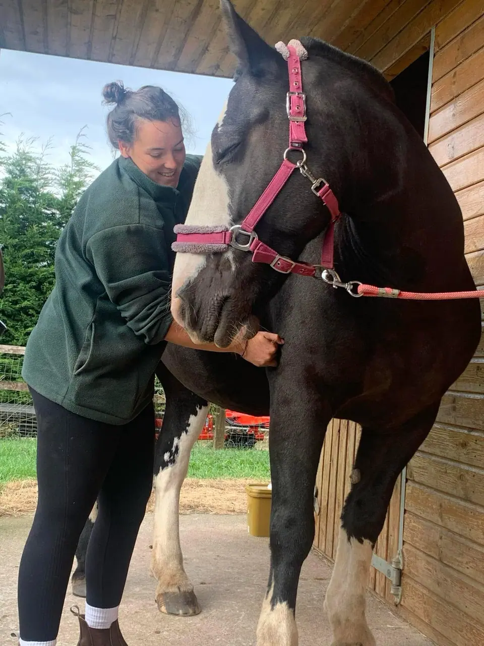 Kate cheek to cheek with a black horse at the stable door