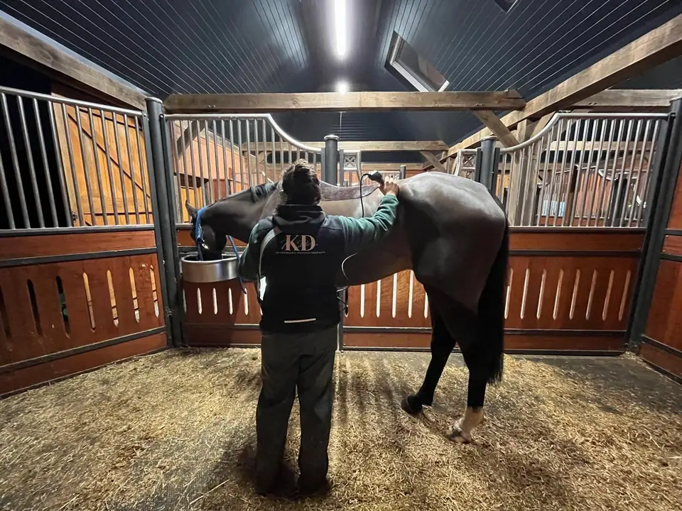 Kate in her KD gilet treating a black horse in a barn