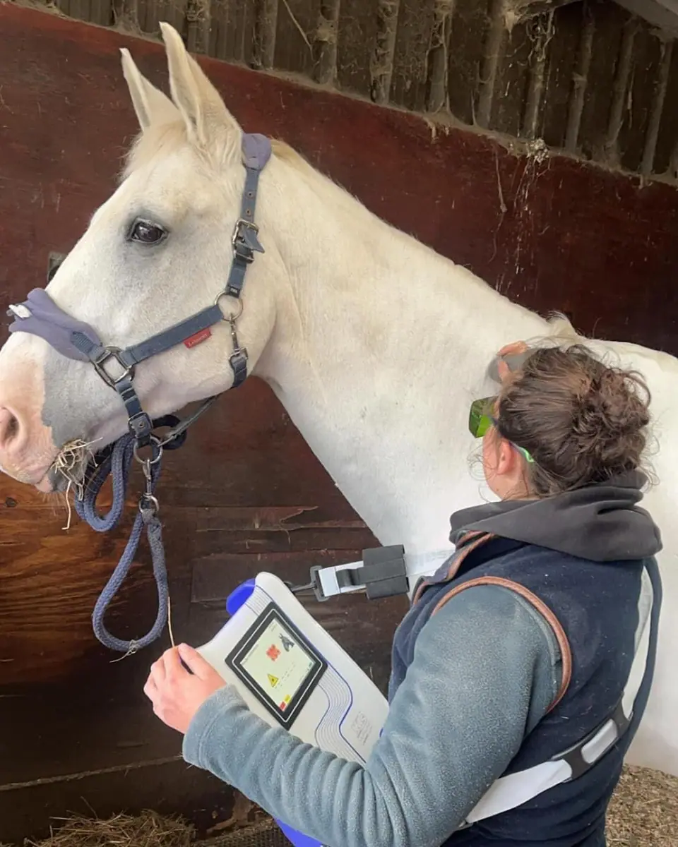 Kate in laser safety goggles using the Class 4 laser on a grey horse